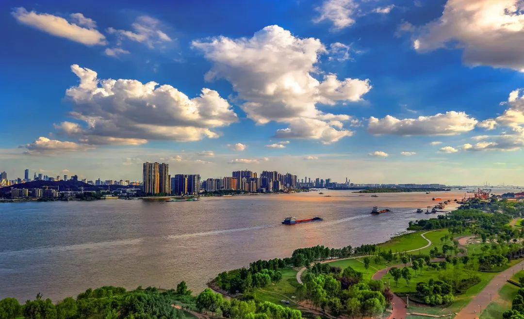 1603337205300016937.png image.png