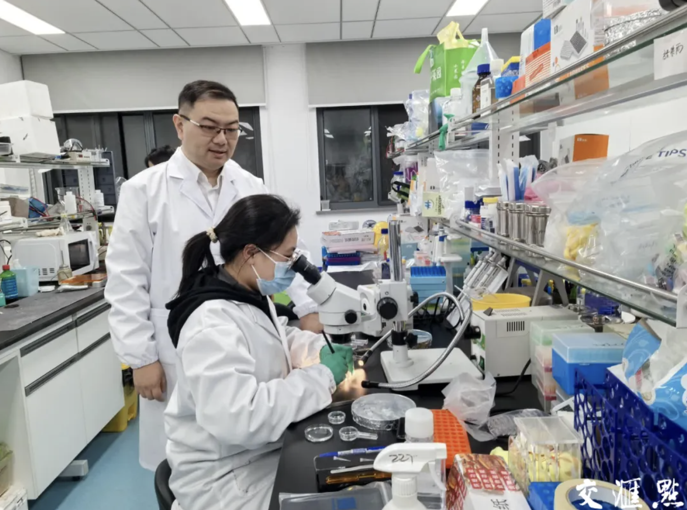 1731393004439046178.png image.png