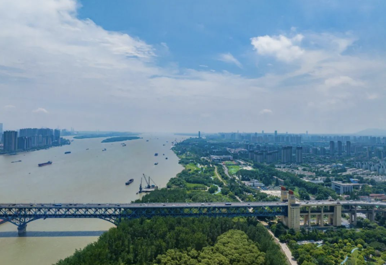 1740036157012083430.png image.png